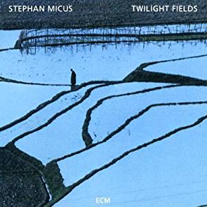 stephanmicus_twilightfields