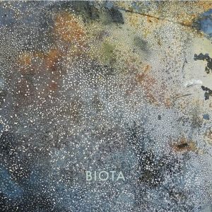 biota-funnel-to-a-thread