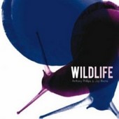 Anthony-Phillips-Wildlife