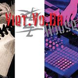 VietVoDaHouse