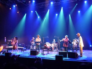 cicala_mvta_045