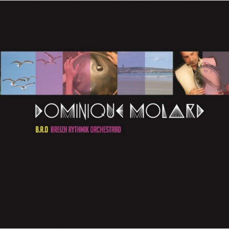 Dominique MOLARD – B.R.O. Breizh Rythmik Orchestrad