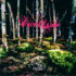 VÄRTTINÄ – Miero