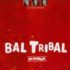 Les Frères MOLARD – Bal tribal