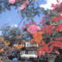 Harold BUDD – Avalon Sutra