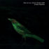 Ron CAINES / Martin ARCHER AXIS – Dream Feathers