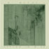 TREPPENWITZ – Sister in Kith